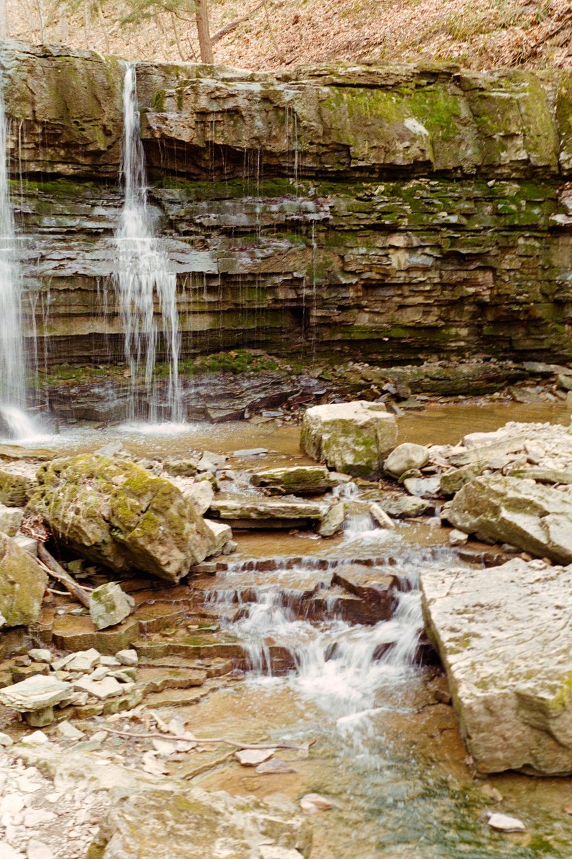 A small, gently flowing stream winds through a wooded valley in early spring. Bare, leafless trees with thin trunks line both banks, while patches of fresh green grass emerge along the banks and forest floor. The streambed is scattered with rocks and stones, and a fallen log lies across the area. The scene is set on a slightly sloped hillside, with branches reaching into the frame, conveying a quiet, natural woodland atmosphere.